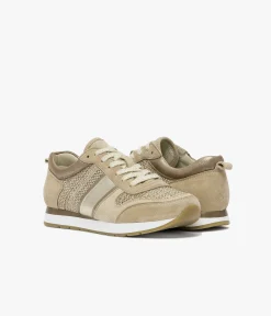 Clearance BASKET LORIAN Femme Baskets