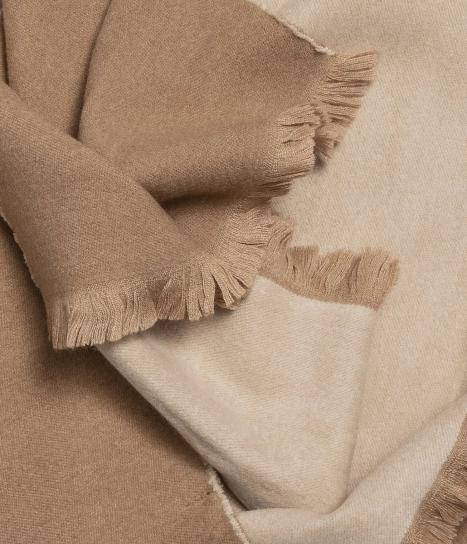 Discount ECHARPE CAMILLE CAMEL Homme Foulards